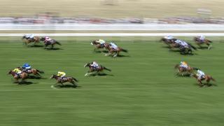 Horses running at finish